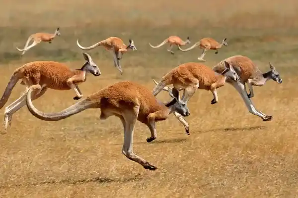 2025050670946361.webp 6.webp