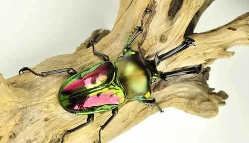 2024092137883011.jpeg bdbc4352f136dc06de7cf493670eedac.jpeg