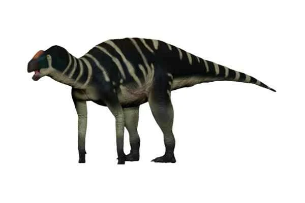 Dinosaurios in Argentina - Kritosaurus navajovius