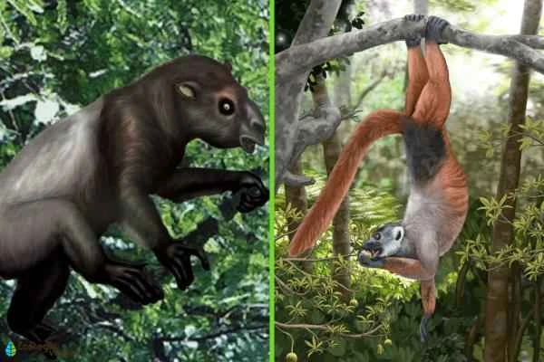 Tipos de lémur - Tipos de lémur extintos