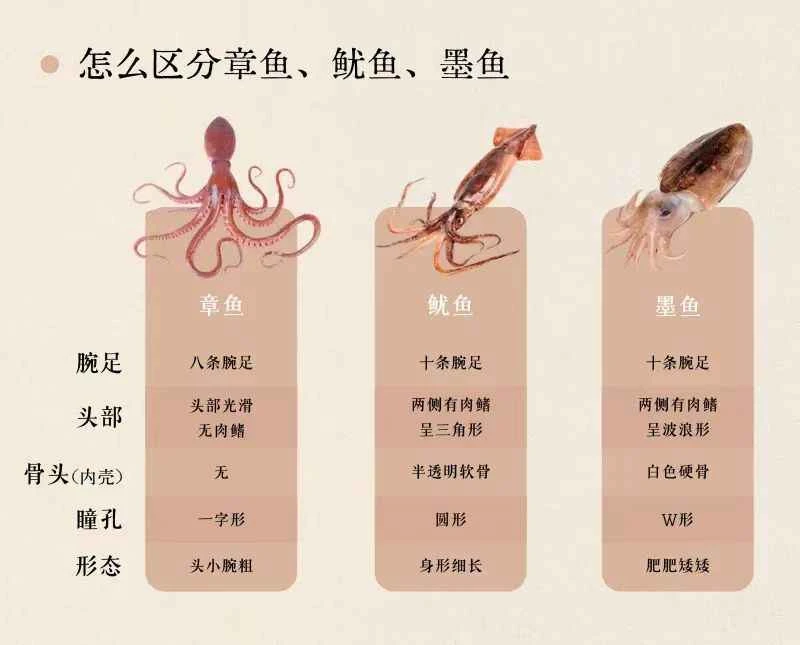 2024111721211656.jpg 112.jpg