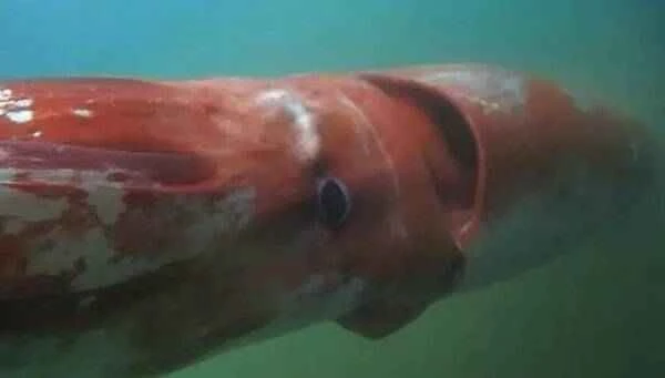 2023011912153966.jpg 4_九雷图片转换器.jpg