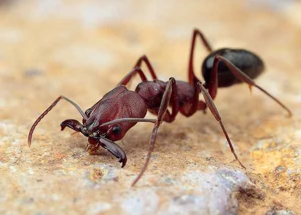 2024060412976962.jpeg 3.jpeg