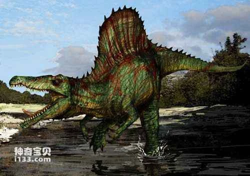 Fossil sites and physical characteristics of Spinosaurus