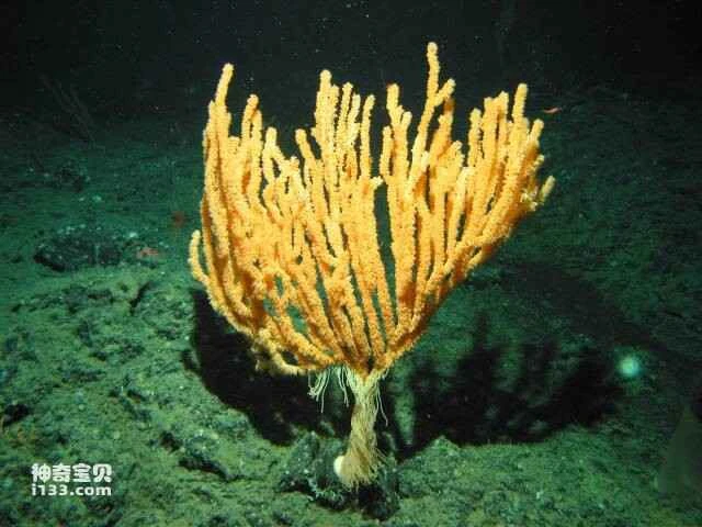 2023042846059668.jpg 3.jpg