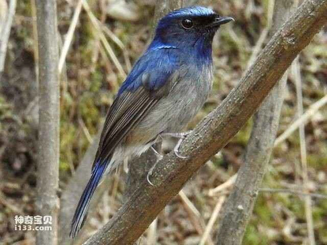 2023060415692786.jpg 6.jpg