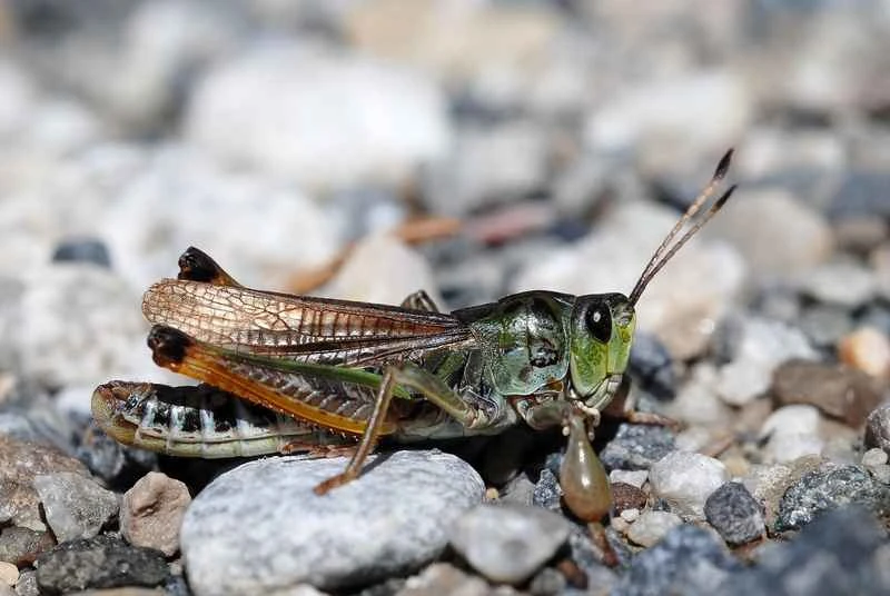 2025011315853456.jpg 7.jpg