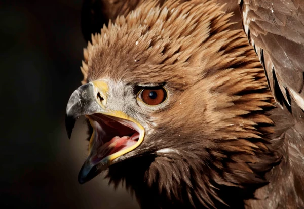 2024092959808430.png 4 (1).png