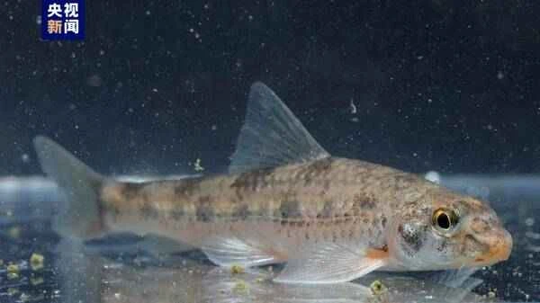 1669874243187208.jpg 3_九雷图片转换器.jpg