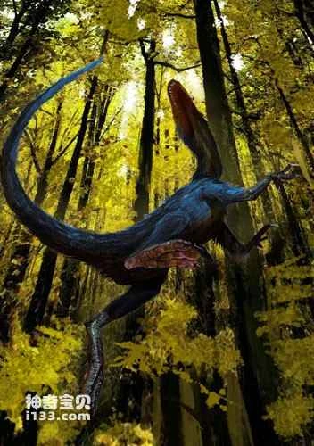 Fossil sites and physical characteristics of Sinosauropteryx
