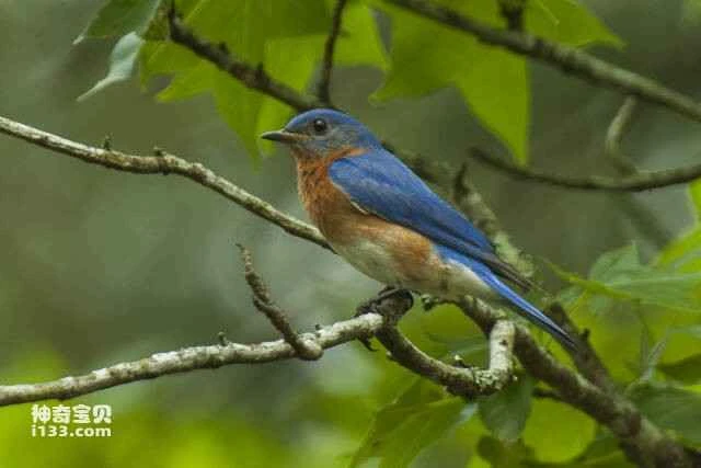 2023060420968964.jpg 8.jpg