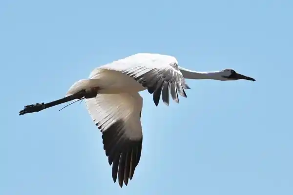 2025123114402532.webp 2.webp