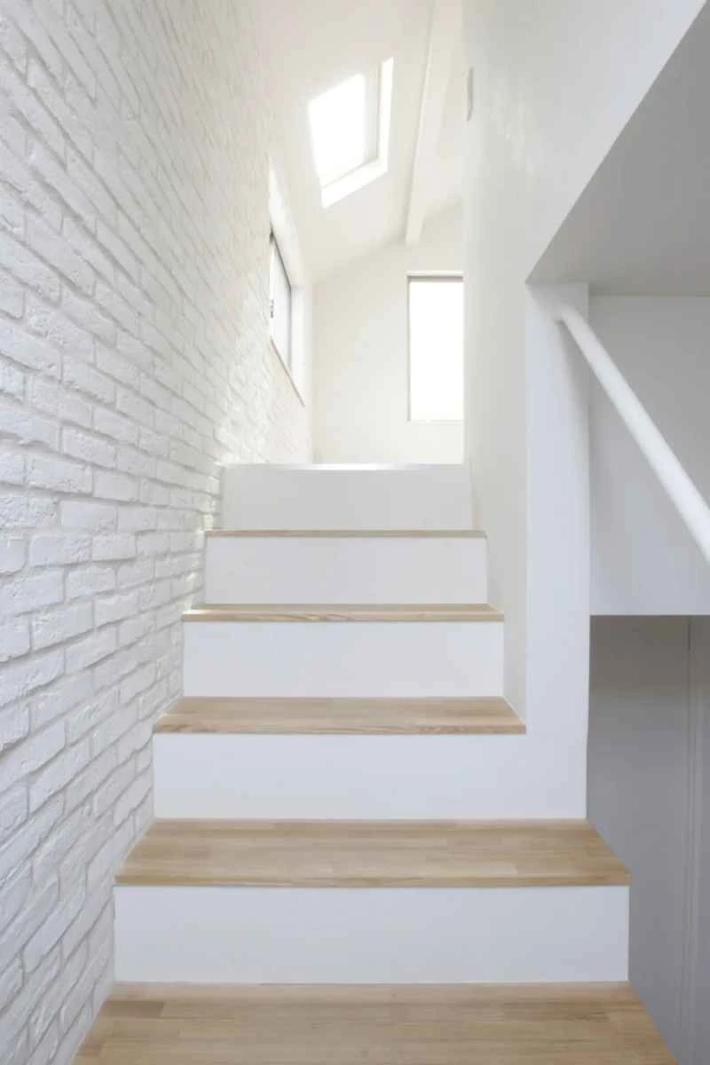 2023011717506510.jpg 10.jpg