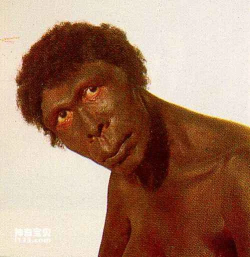 Characteristics of Homo erectus