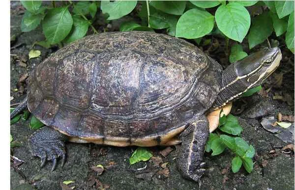 2024020510047385.jpeg 8.jpeg