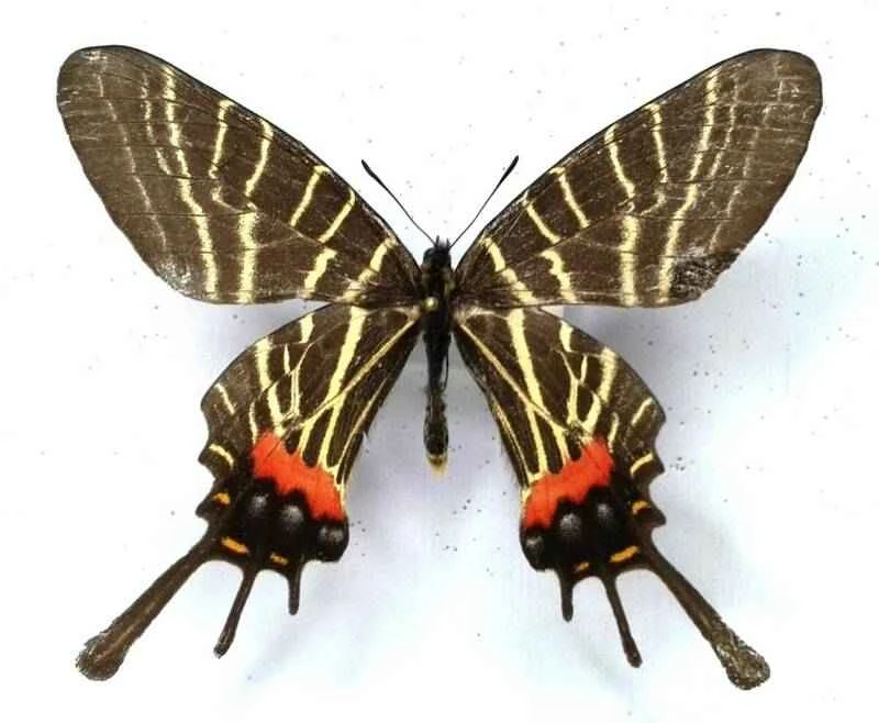 2024110665014252.jpg 2.jpg