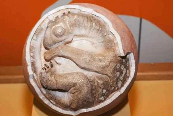 1661499236143498.jpg 3.jpg