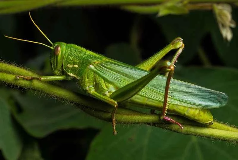 2025011318404065.jpeg 10.jpeg