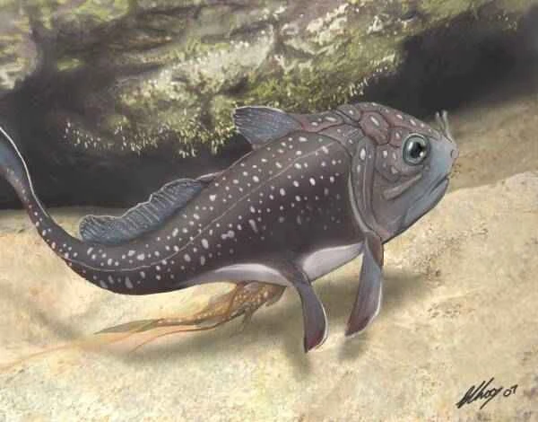 2023092771733937.jpeg 4(1).jpeg