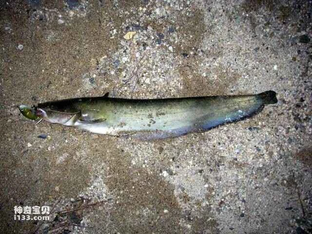 2023051675715171.jpg 9.jpg