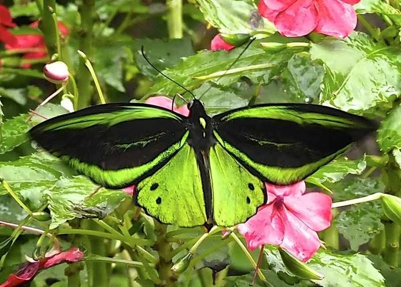 2024110644950894.jpg 10.jpg