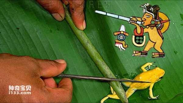 2024080750300537.jpg 1010.jpg