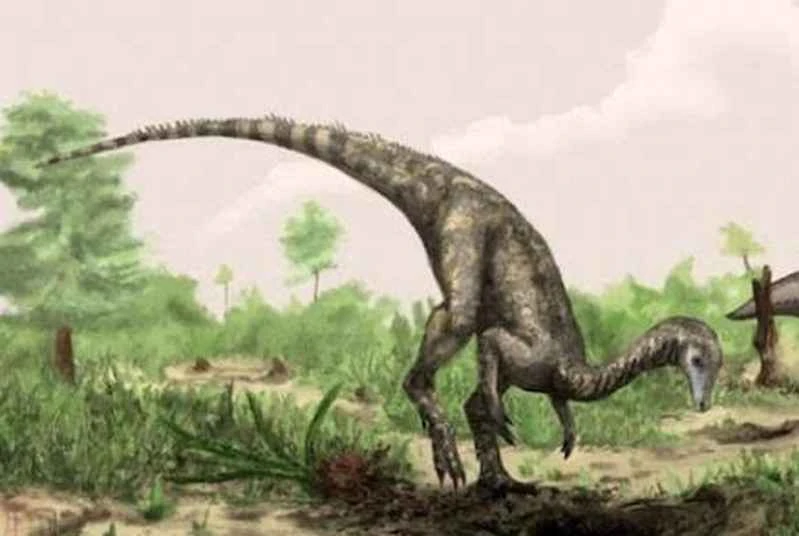 1670218994213809.jpg 6.jpg