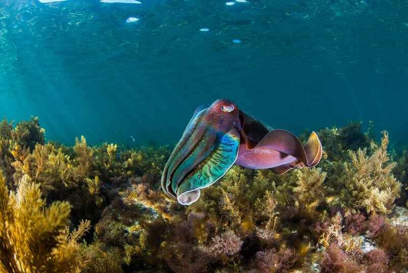 2024111778053571.jpg 1.jpg