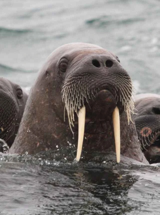 2024092610882085.jpg 3.jpg