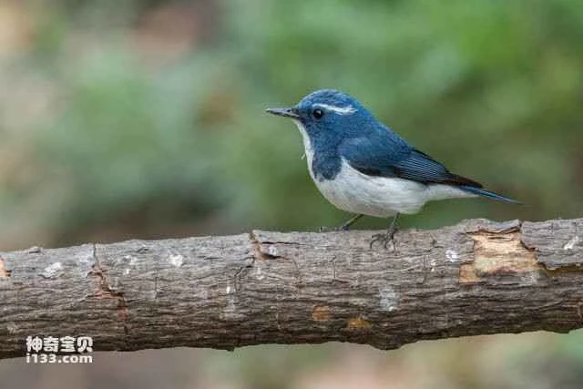 2023060421071813.jpg 2.jpg