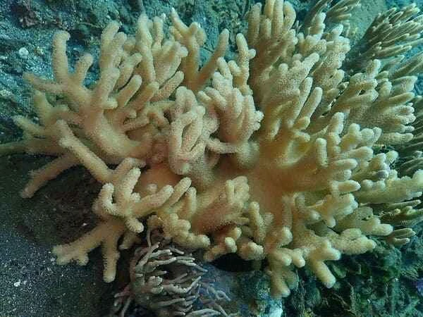 2023121518926994.jpeg 6.jpeg