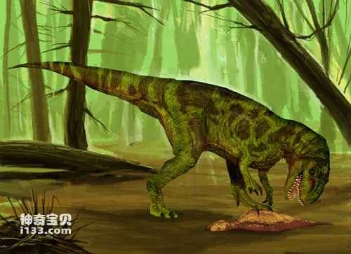 Fossil sites and physical characteristics of Yongchuanosaurus