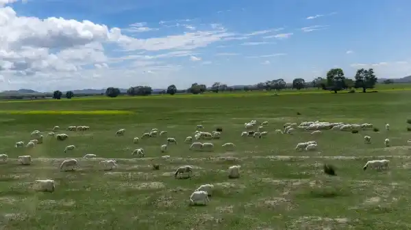 2025090317143140.webp 2.webp