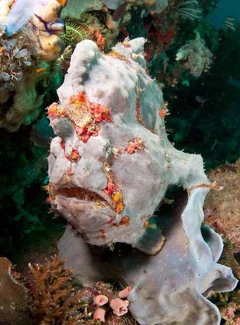 2024100810451502.jpg 3.jpg