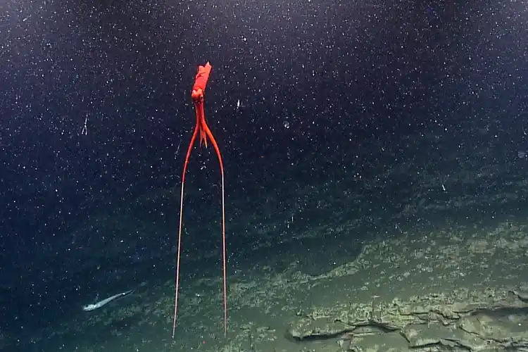 2025053057136572.webp 3.webp