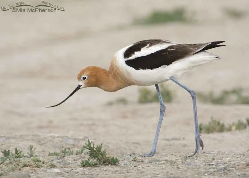 2025041018890784.jpg 15.jpg