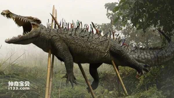 Top 10 Most Powerful Animal Killers in the World