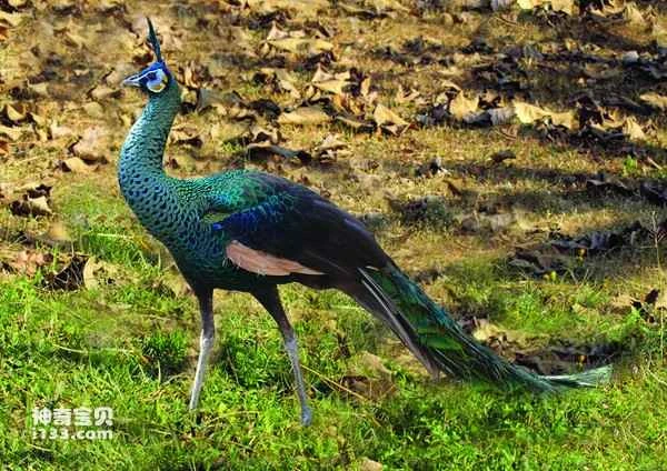 2024020535496205.jpg 6.jpg