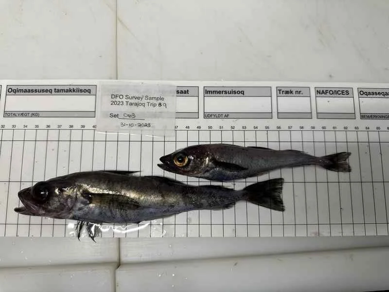 2025022716884445.jpg 66.jpg