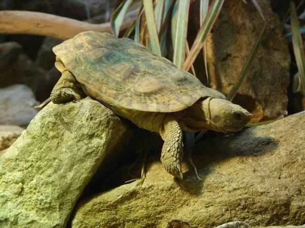 2023091198538616.jpeg 7(1).jpeg