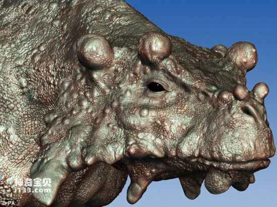 The ugliest animal in nature