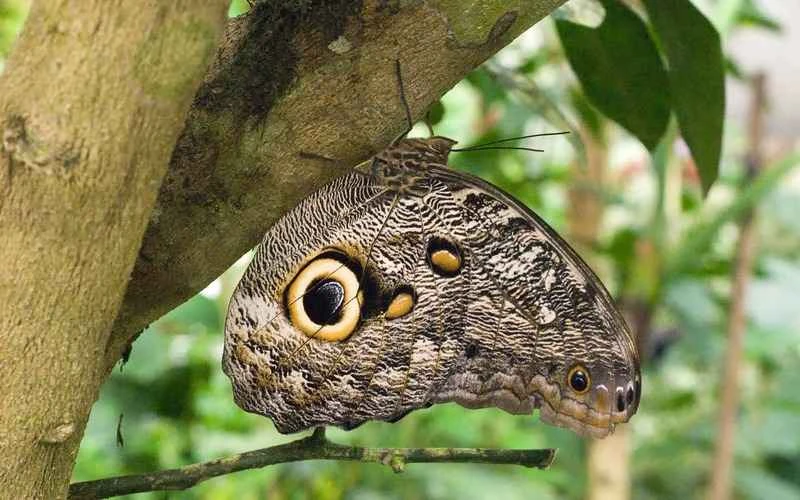 2024110626791704.jpg 99.jpg