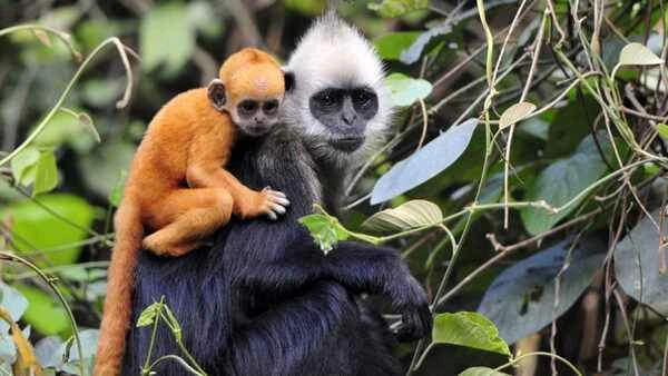 2024020596036516.jpeg 7.jpeg