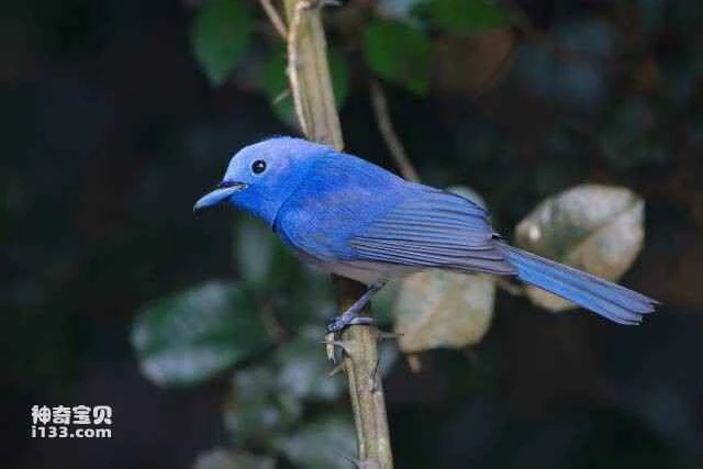 2023060414246424.jpg 3.jpg