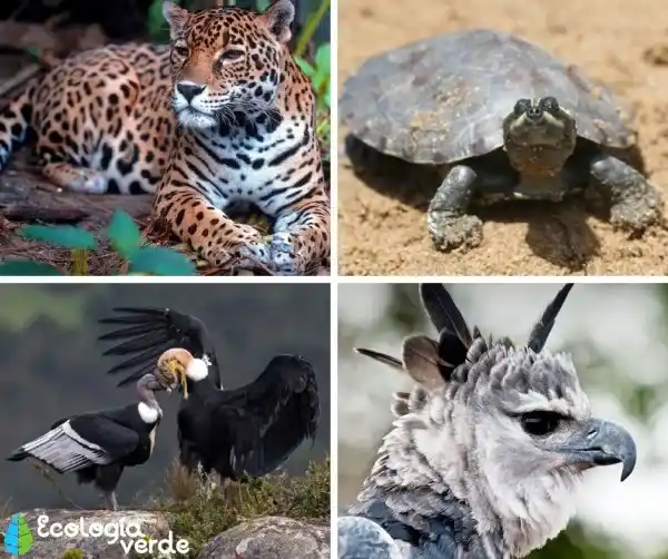 2025091514468810.webp 12.webp