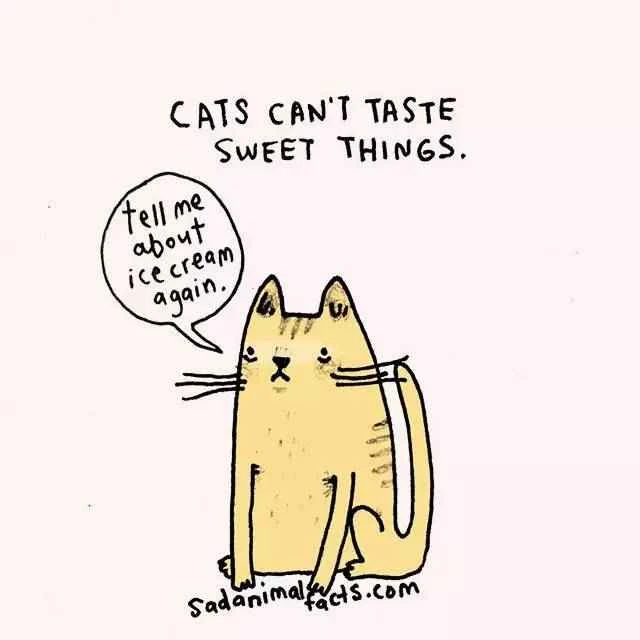 2023011920756874.jpg 13.jpg