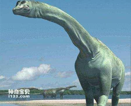 This dinosaur's walk was like an earthquake. Was the Zhenlong really the largest dinosaur in the world?