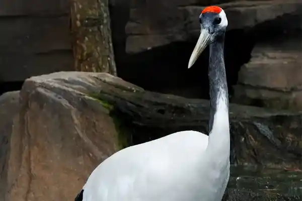 2025123184690722.webp 4.webp