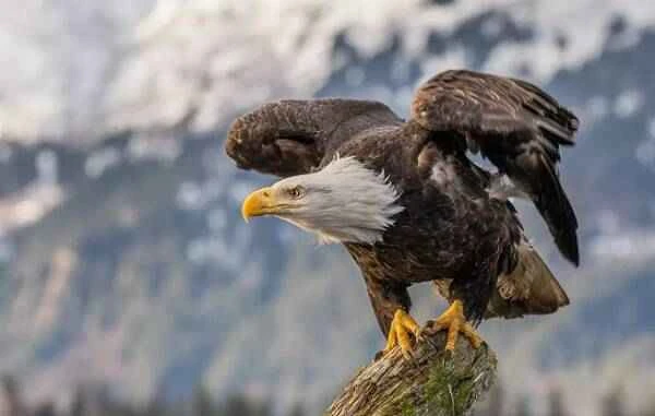 2023011924506121.jpg 2_九雷图片转换器.jpg