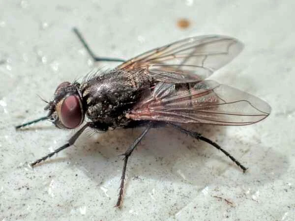 2024042216126159.jpeg 4.jpeg